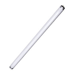 lampada fluorescente, 20W, tubular, T8, 220V