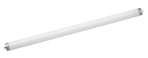 lampada fluorescente, 40W, tubular, T8, 220V