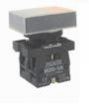 Botão duplo plástico P20BPL-1C