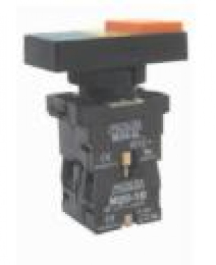 Botão duplo  Iluminado plástico P20ITL-Y-1C